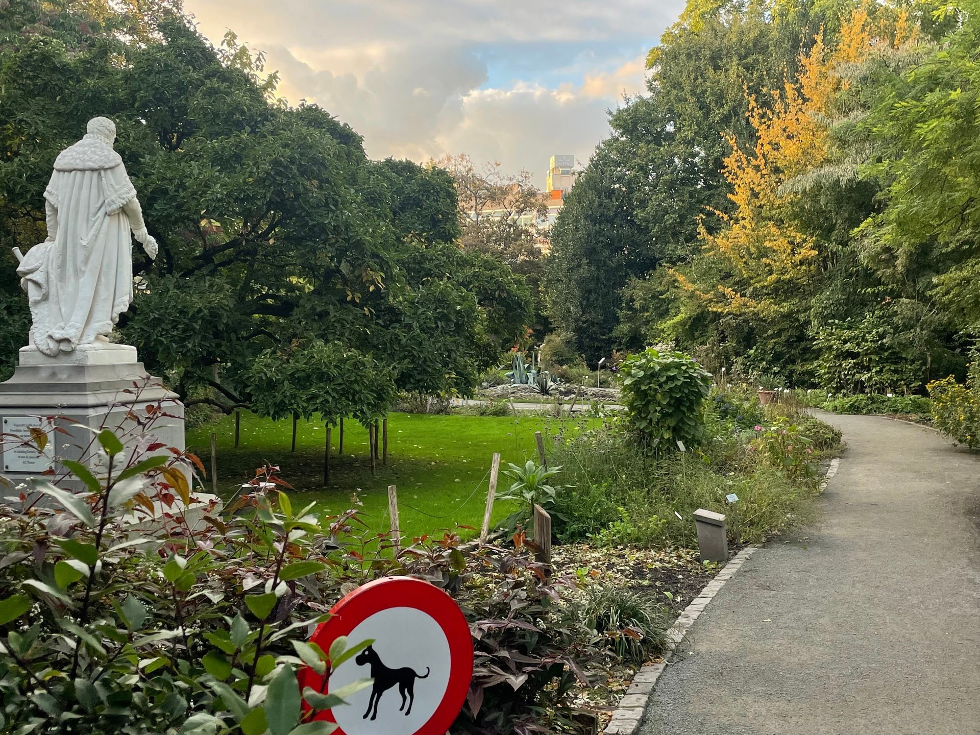 Studio te koop foto 7