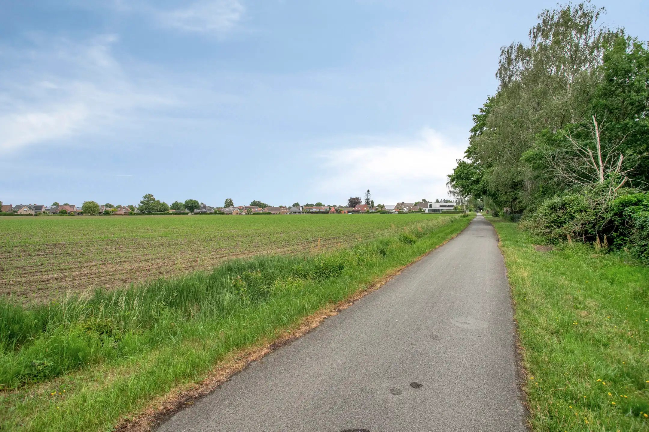 Volledig gerenoveerde vrijstaande woning met garage foto 30