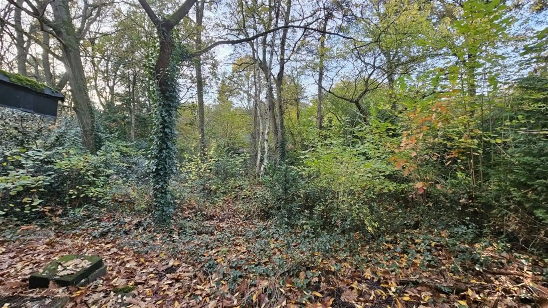 Bouwgrond van 1400 m² - Schilde foto 7