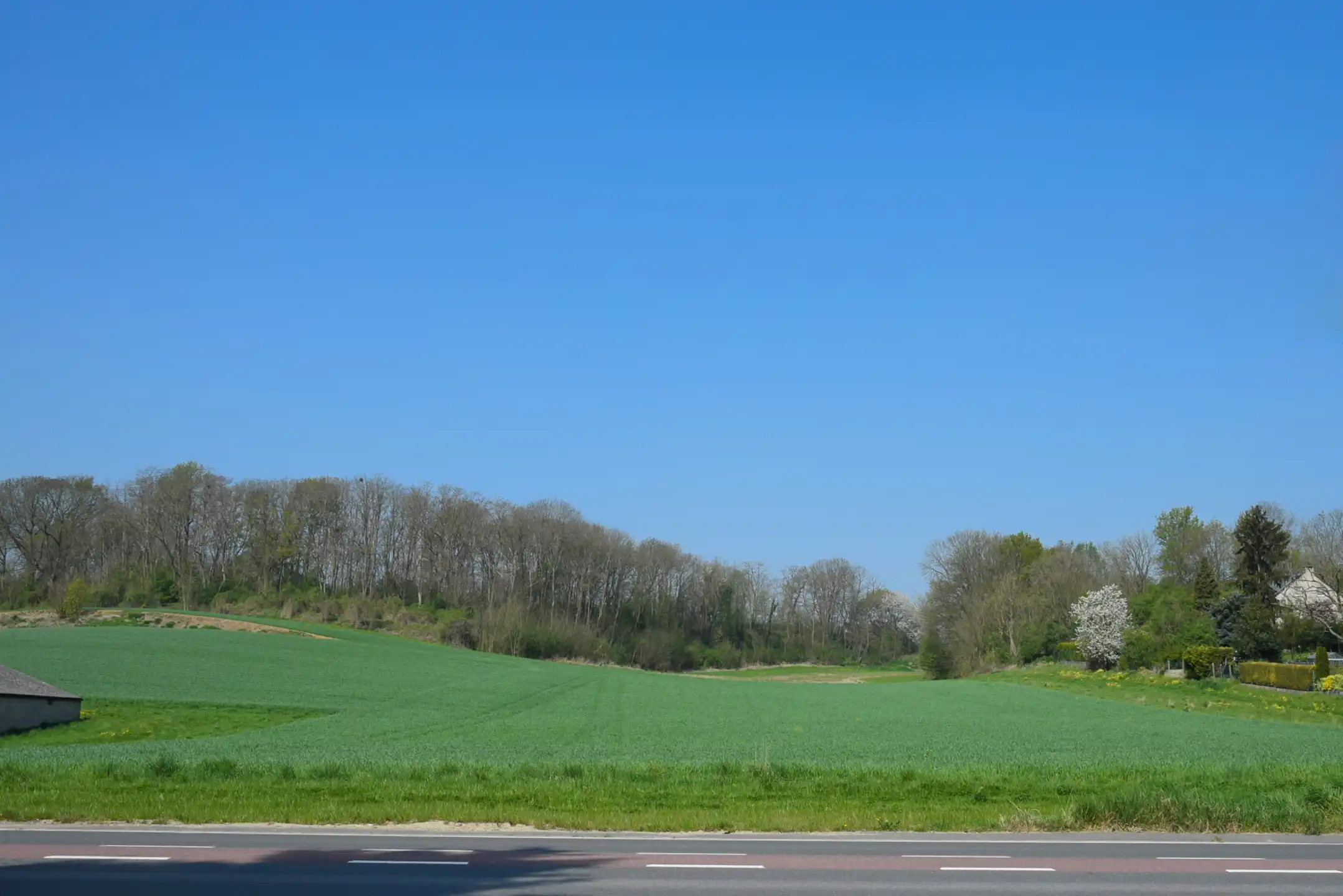 Prachtig gelegen bouwgrond OB op 14a51ca te Emael foto {{pictureIndex}}