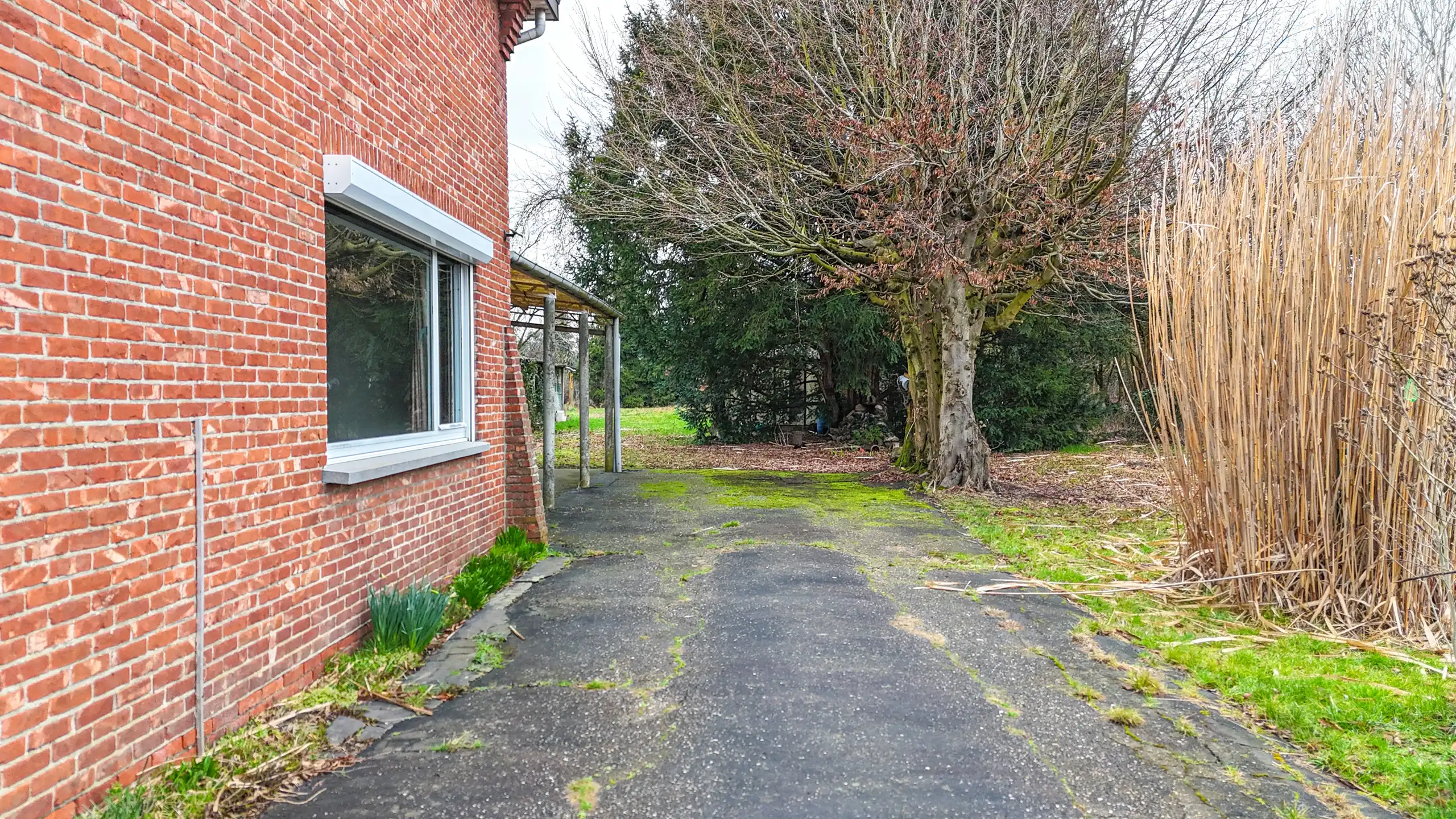 Open bebouwing met 3 slpks op ruim perceel nabij bos! foto 22