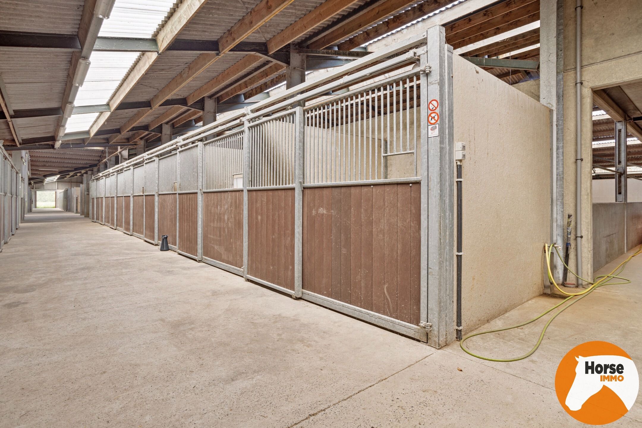 JABBEKE - Luxueuze paardenaccommodatie met woning foto 10