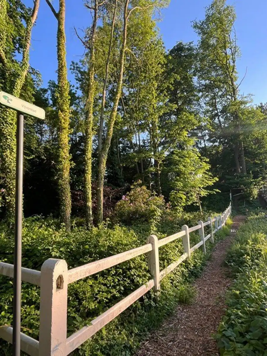 Rustig gelegen te renoveren en af te werken woning op 935m² foto 12