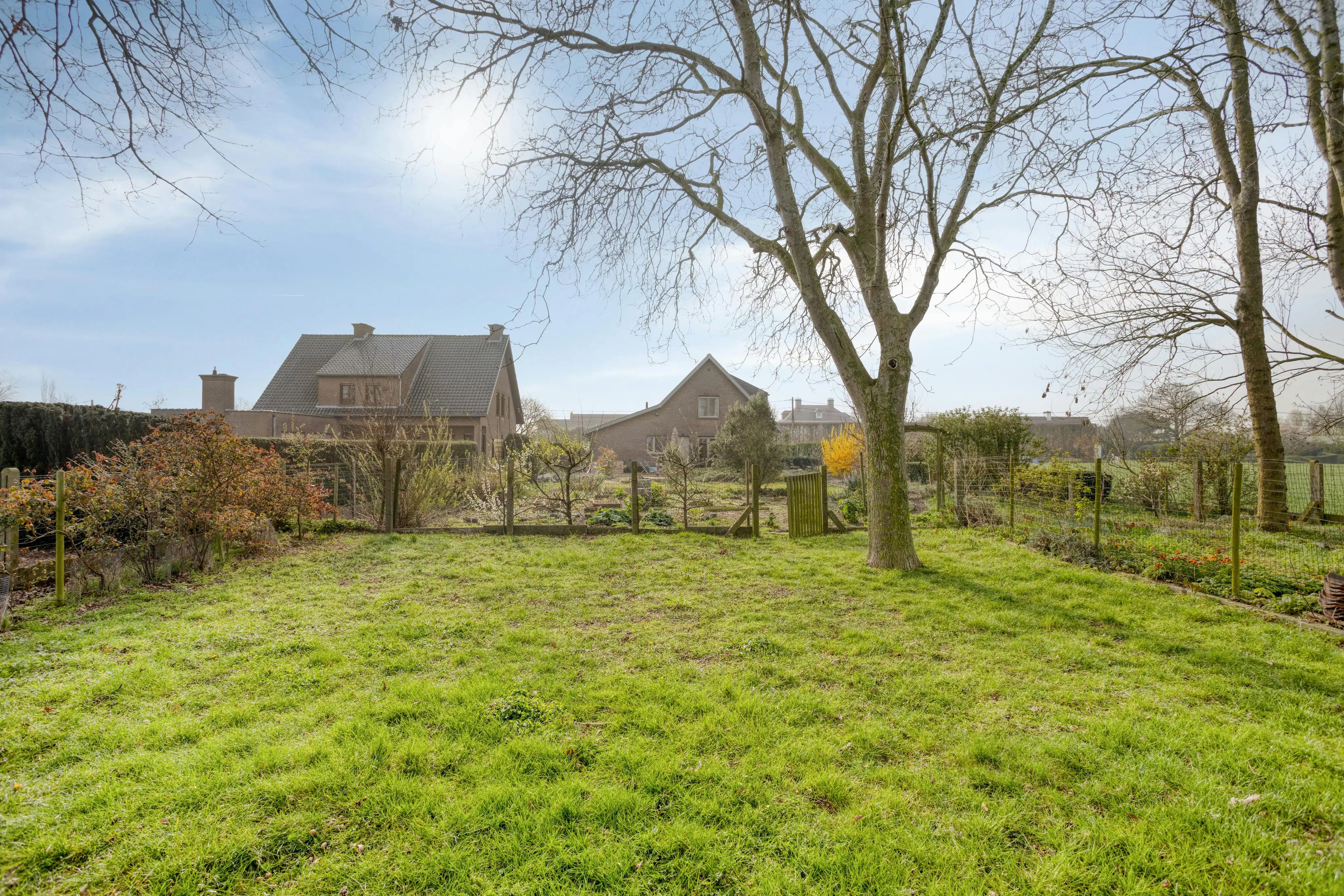 Vrijstaande huis met 5 slaapkamers te koop in Oeselgem foto 24