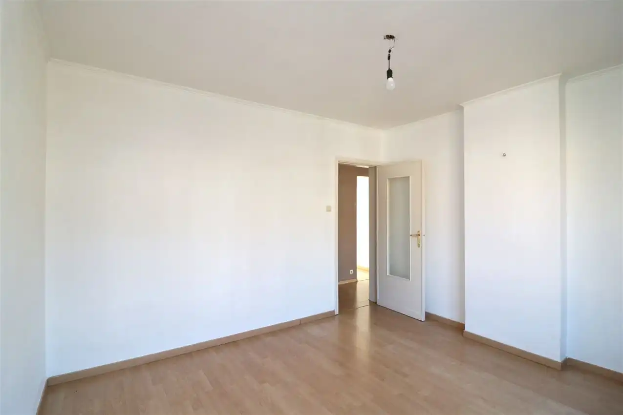 charmant, ruim, mogelijkheid beroep of kangoeroe foto 17