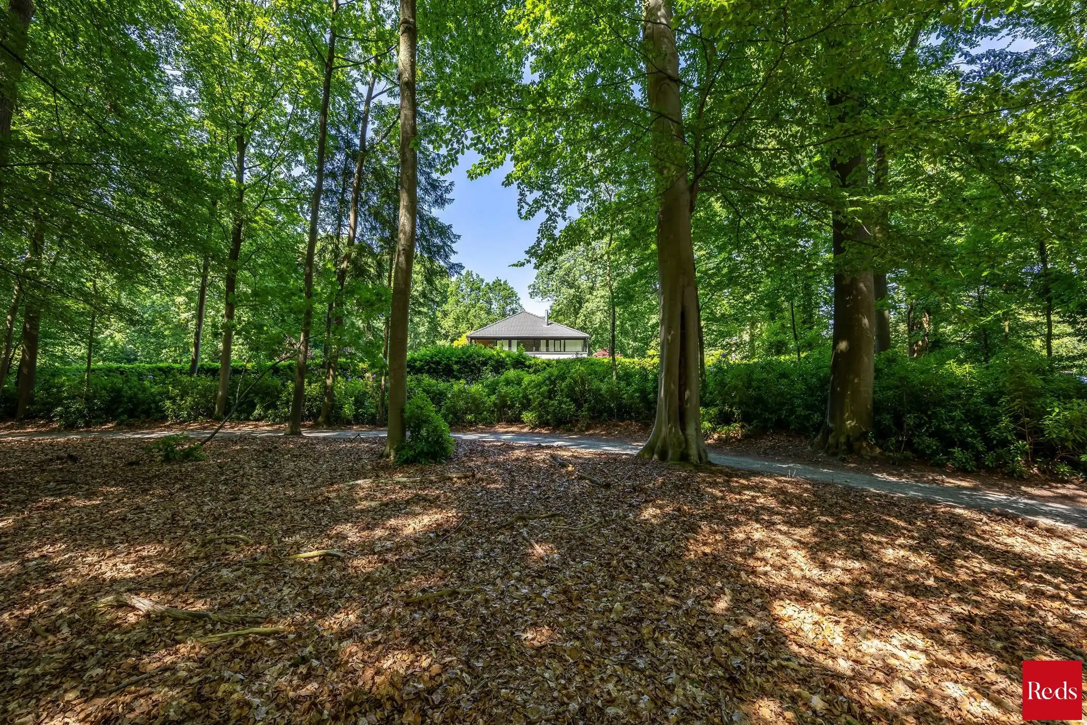 Villa met zwembad omringd door natuur en maximale privacy foto 33