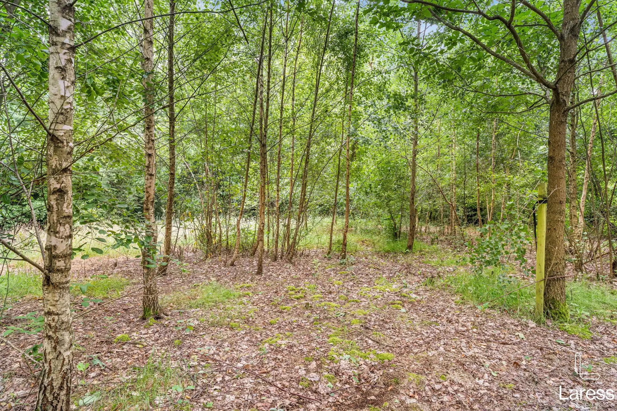 Huis te koop foto 21