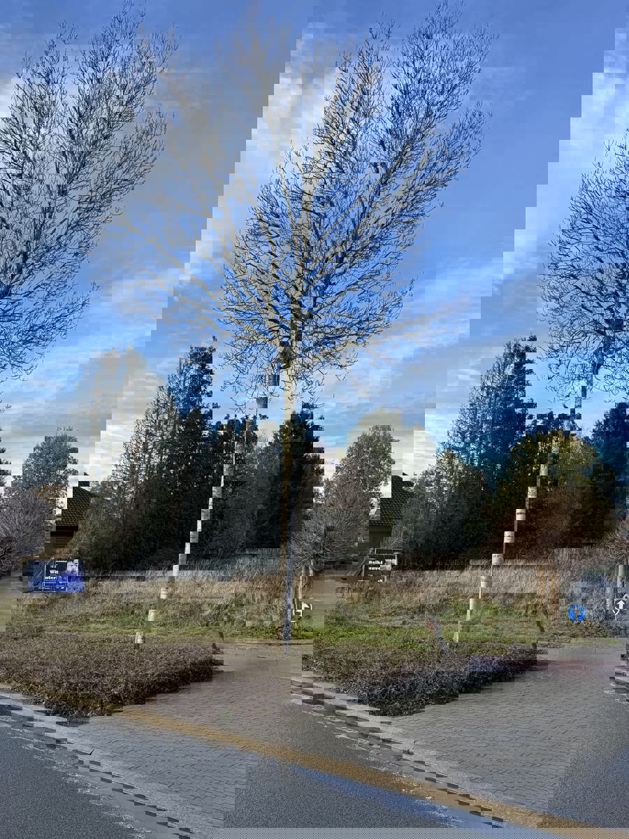 Mooi groot bouwperceel, ca. 1555 m², gelegen naast WZC Nethehof foto {{pictureIndex}}