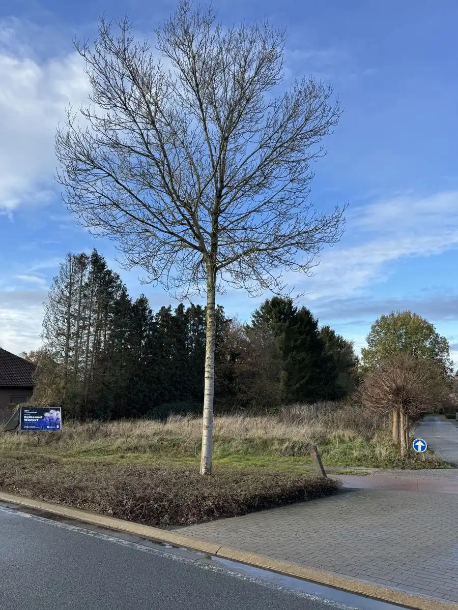 Mooi groot bouwperceel, ca. 1555 m², gelegen naast WZC Nethehof foto {{pictureIndex}}