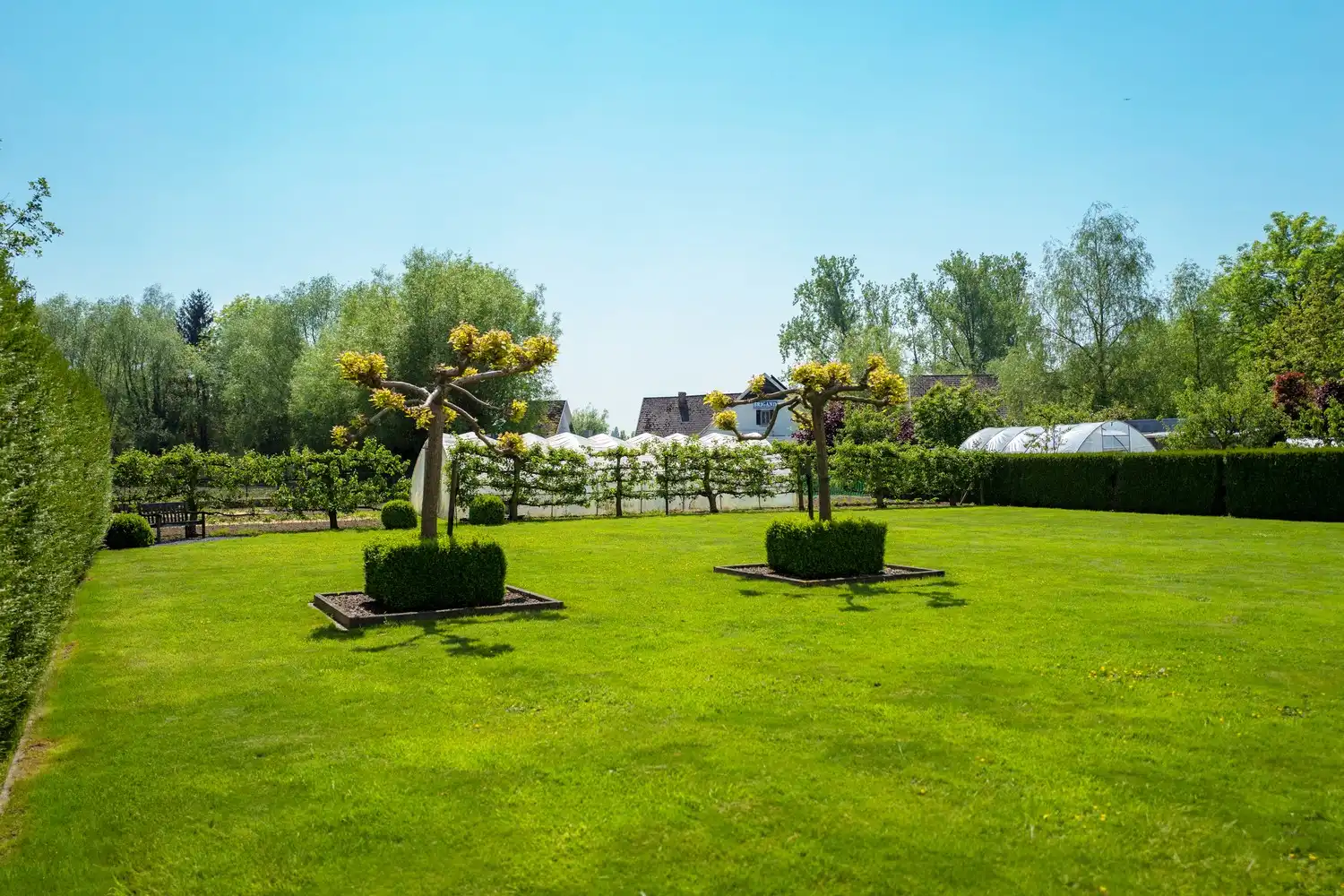 Exclusieve villa in het groene Denderwindeke – ruimte, luxe en comfort op topniveau! foto 28