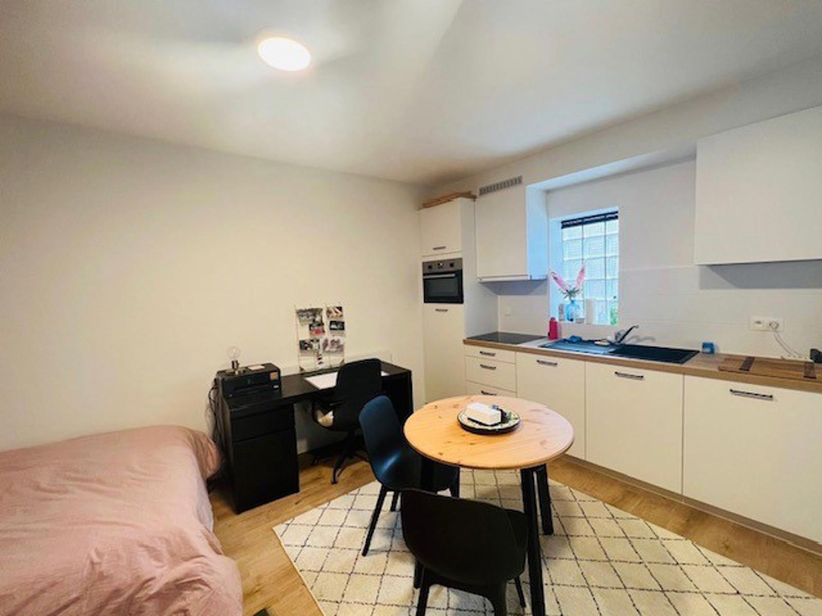 Rustig gelegen studio nabij Grote Markt Leuven  foto 3