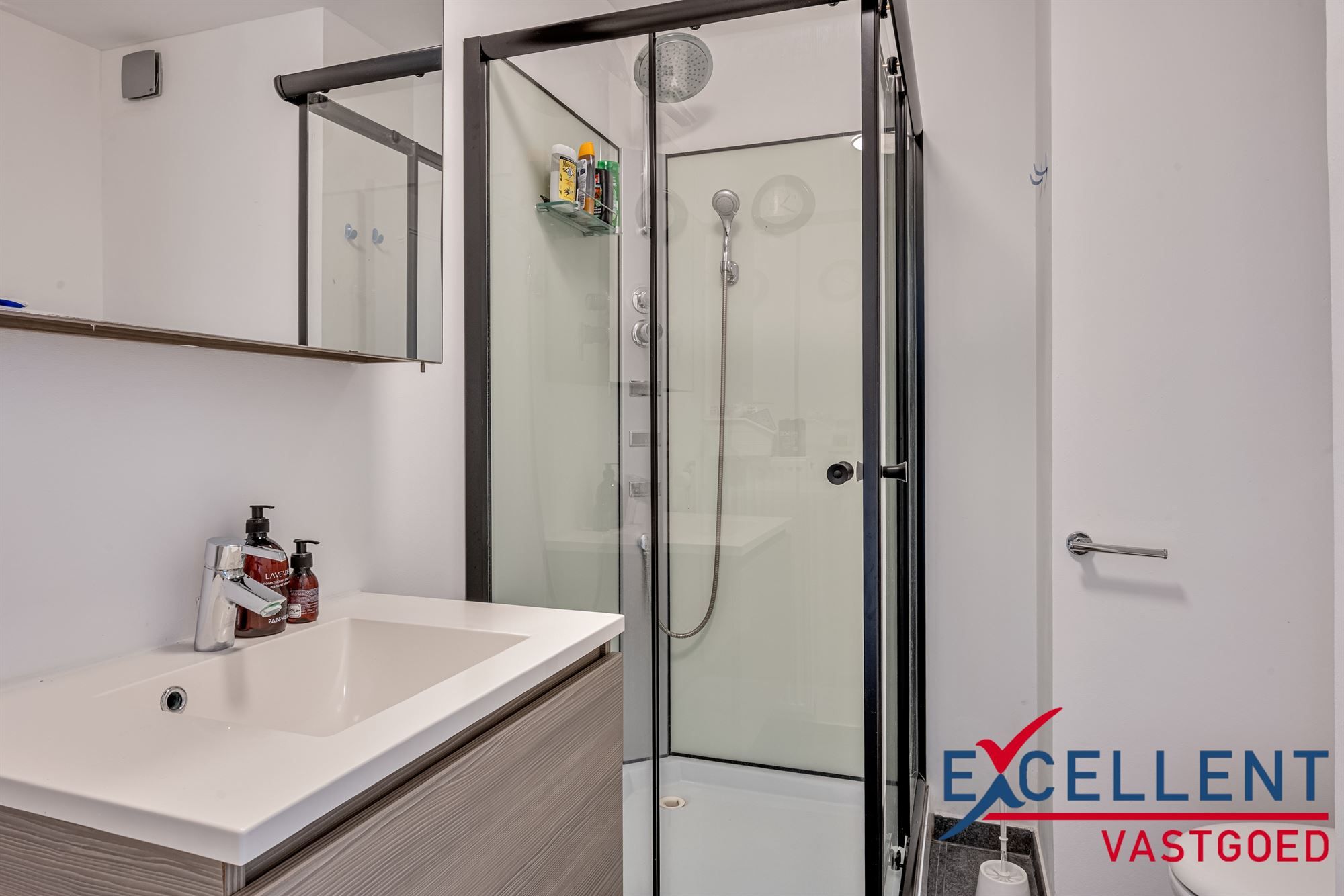 Instapklaar en gerenoveerd appartement centrum Deinze te koop foto 8