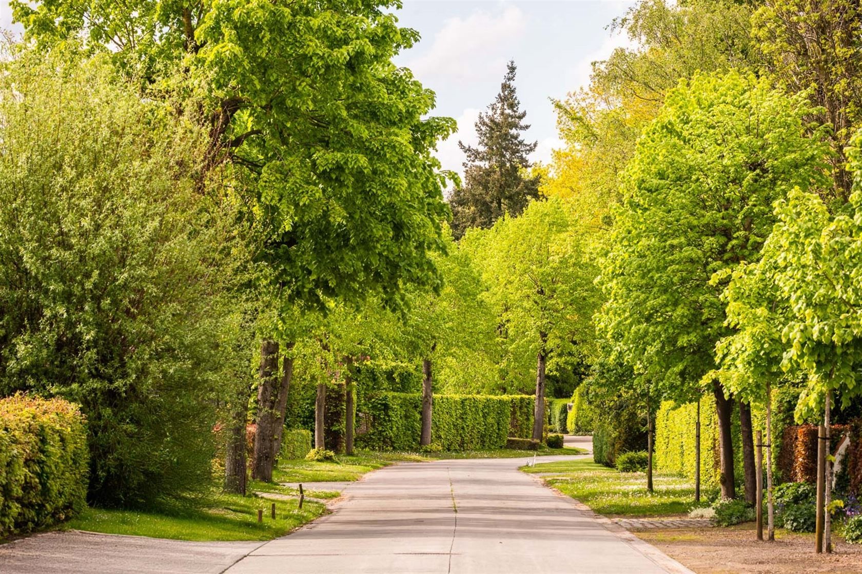 Romantische oase van groen in De Pinte foto 14