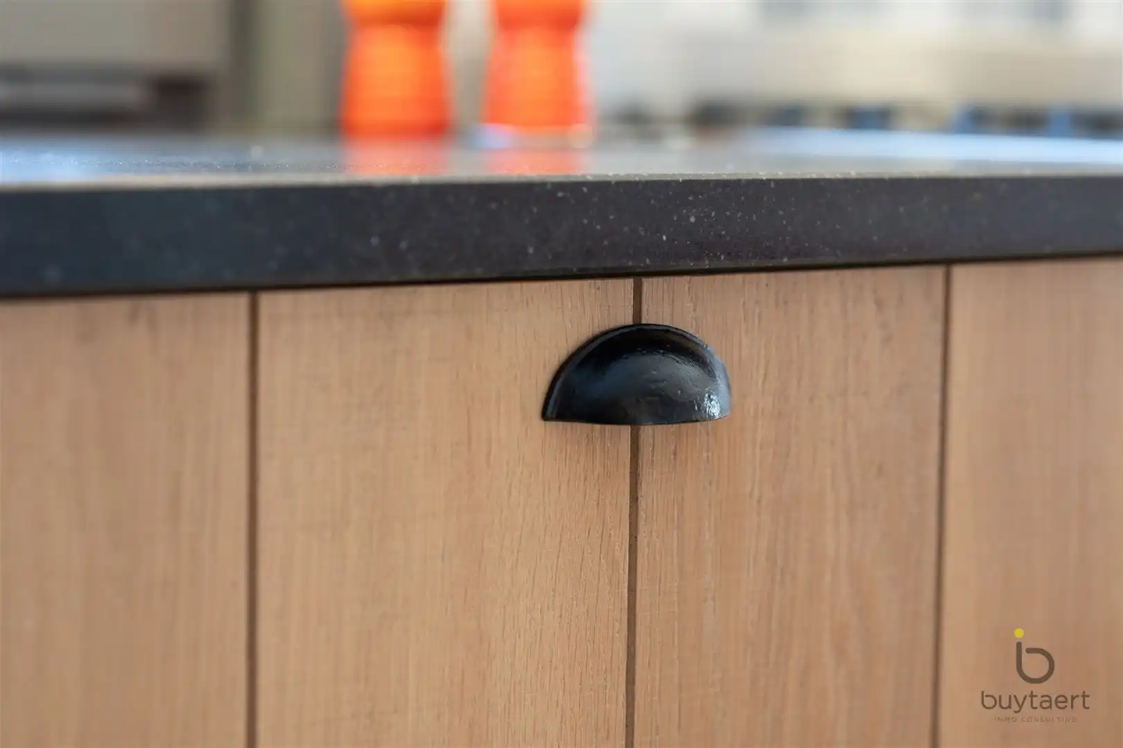 Villa met praktijk of  kangoeroewoning en Zuid - West tuin. foto 12