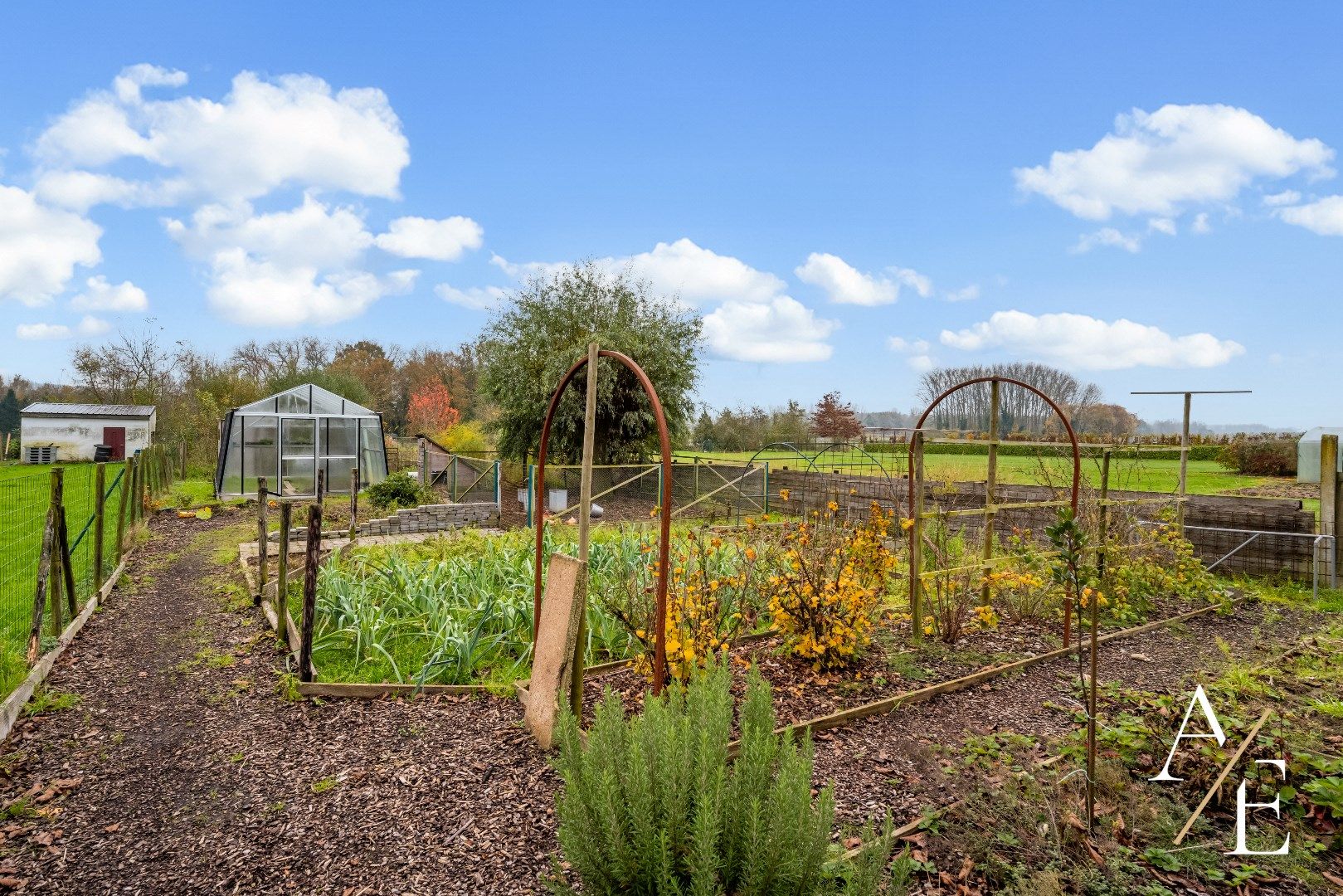 SMETLEDE - Instapklare grote gezinswoning met garage en tuin! foto 4