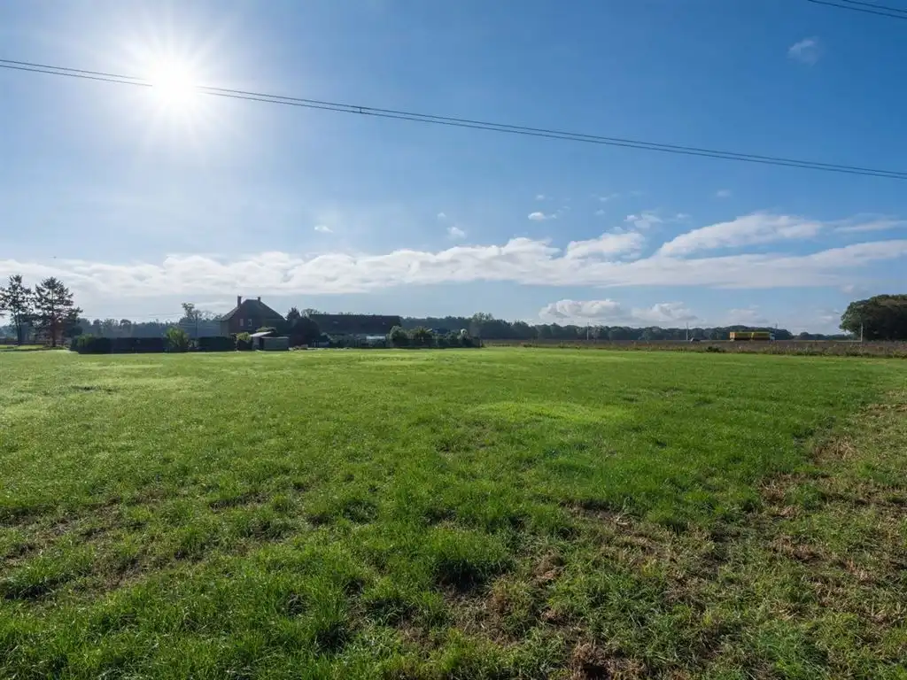 Landelijk gelegen vrijstaande woning op een riant perceel foto 14