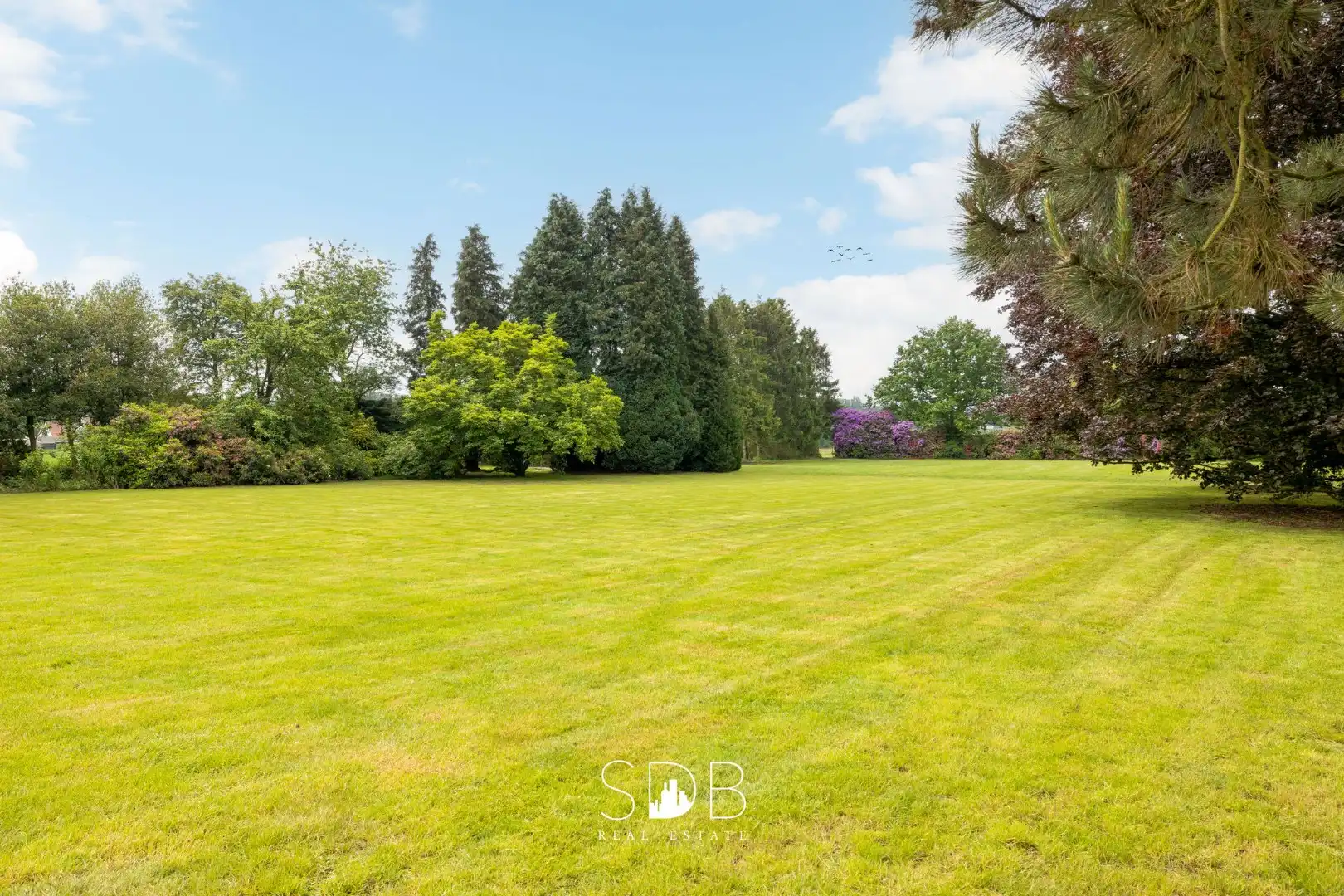 Prachtige villa met zwembad, paardenstallen, paddock en grasland op 1,3HA foto 42