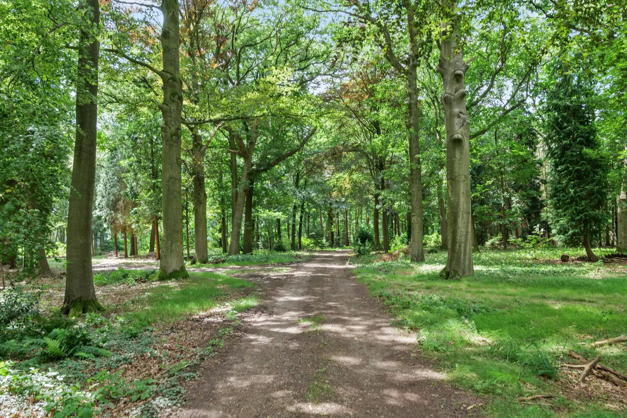 Magnifiek landhuis in een prachtig domein van ca 10ha foto 17