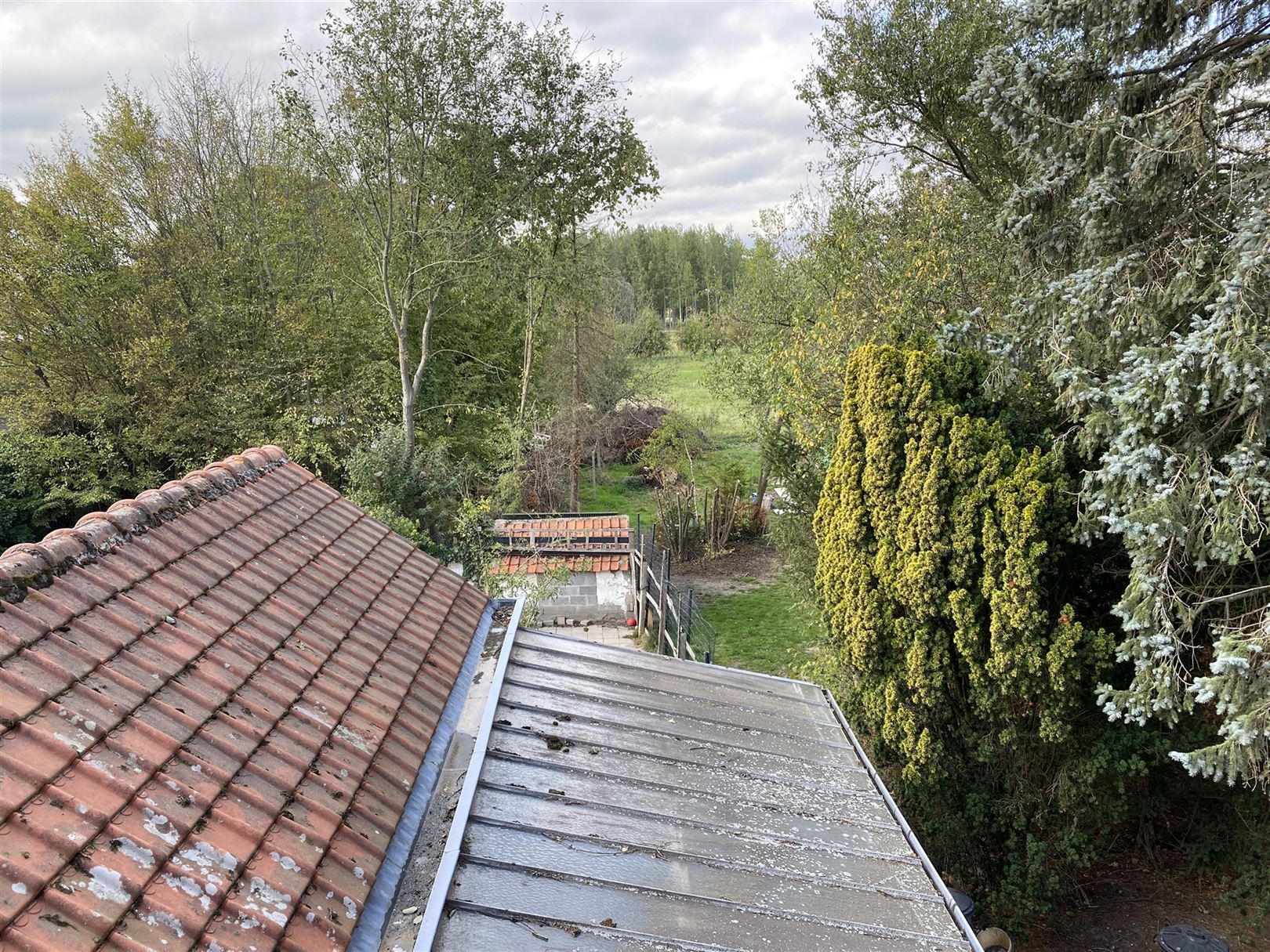 Huis foto 25