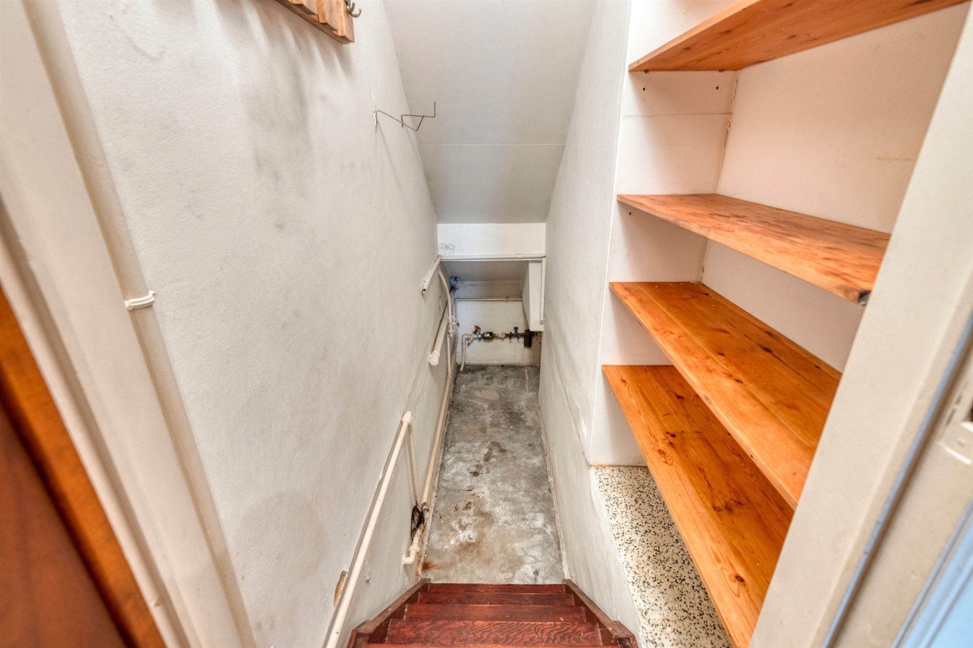 Stevige woning, met atelier en grote tuin. foto 8