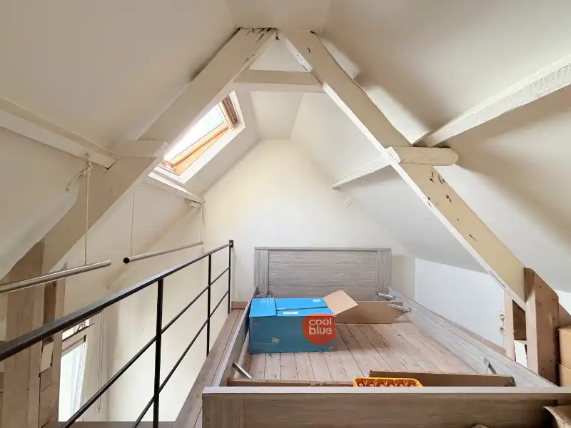 CHARMANT BELUIKHUISJE IN CENTRUM GENT foto 5