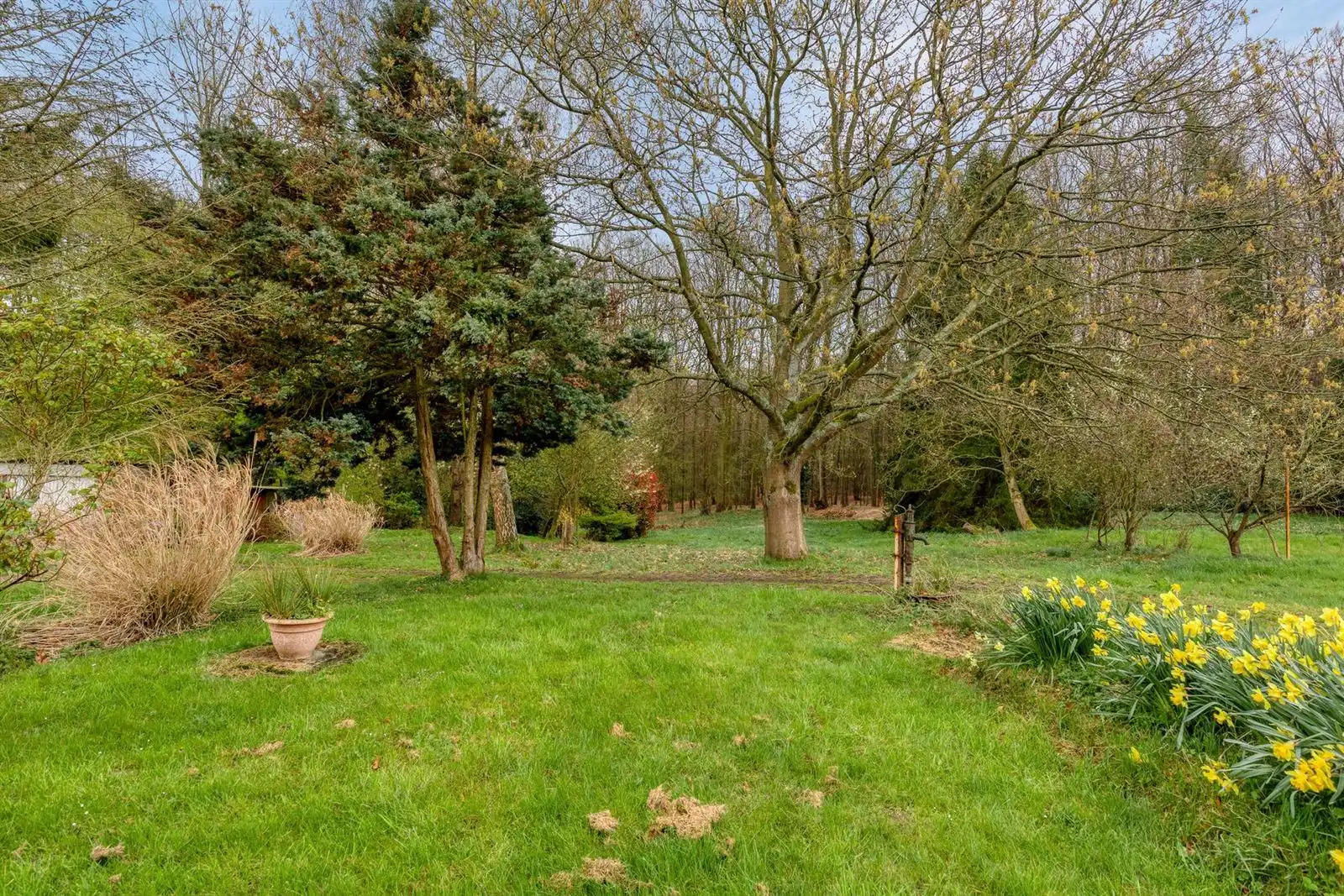 Unieke 3-gevelwoning met uitbreidingspotentieel naast het Hallerbos  foto 16