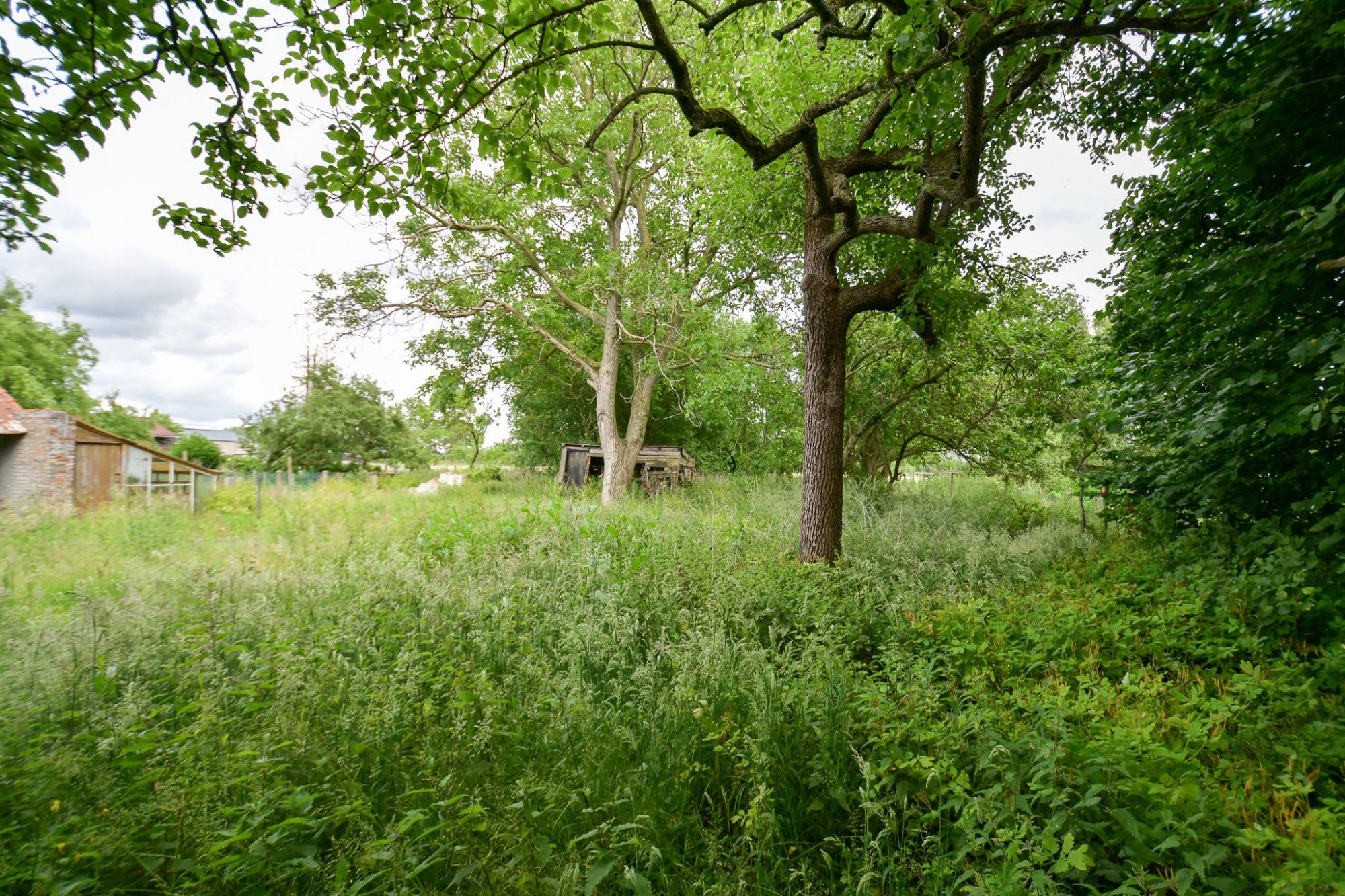 GOED GELEGEN VOLLEDIG TE RENOVEREN WONING met LANDELIJK UITZICHT op 1789 M² foto 3