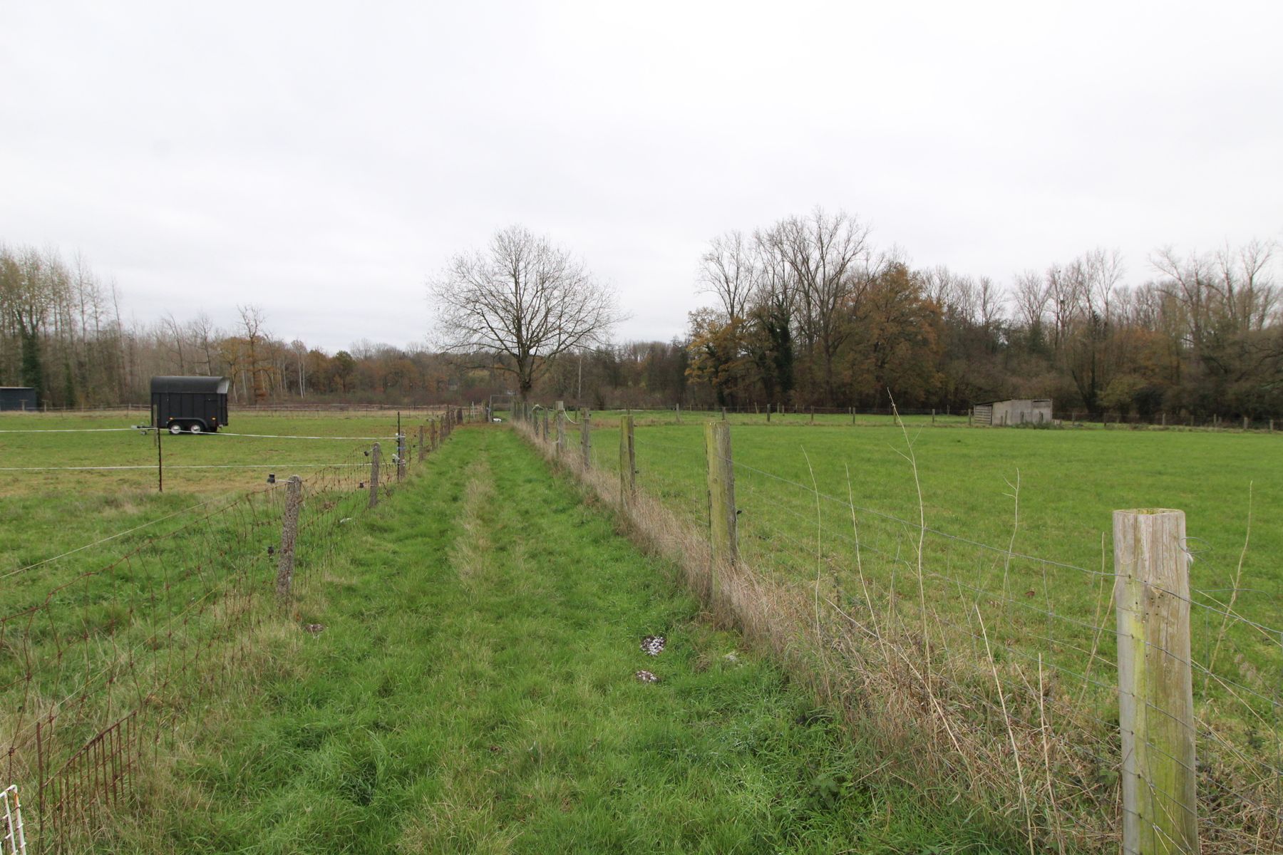 Asbeek: achtergelegen weide  foto 4