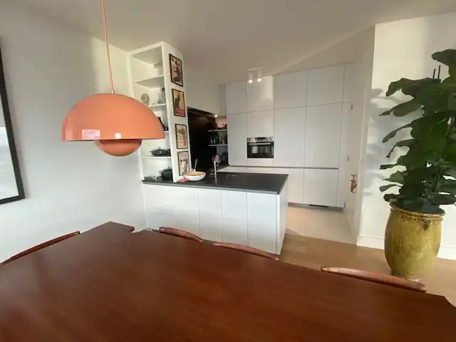 Ruime en gemeubelde penthouse op het trendy Eilandje. foto 4