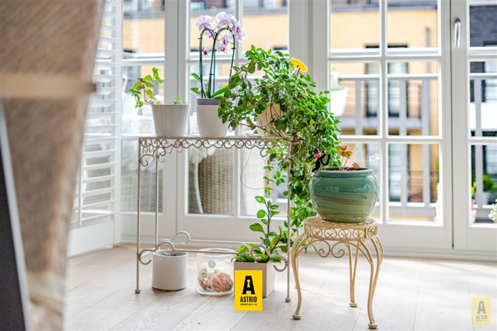 Schitterend appartement in Nieuwe Concessie! foto 3