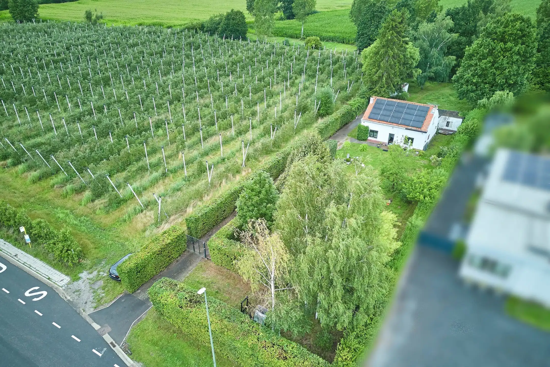 Prachtig gelegen bouwgrond met bestaande woning in het groen foto {{pictureIndex}}