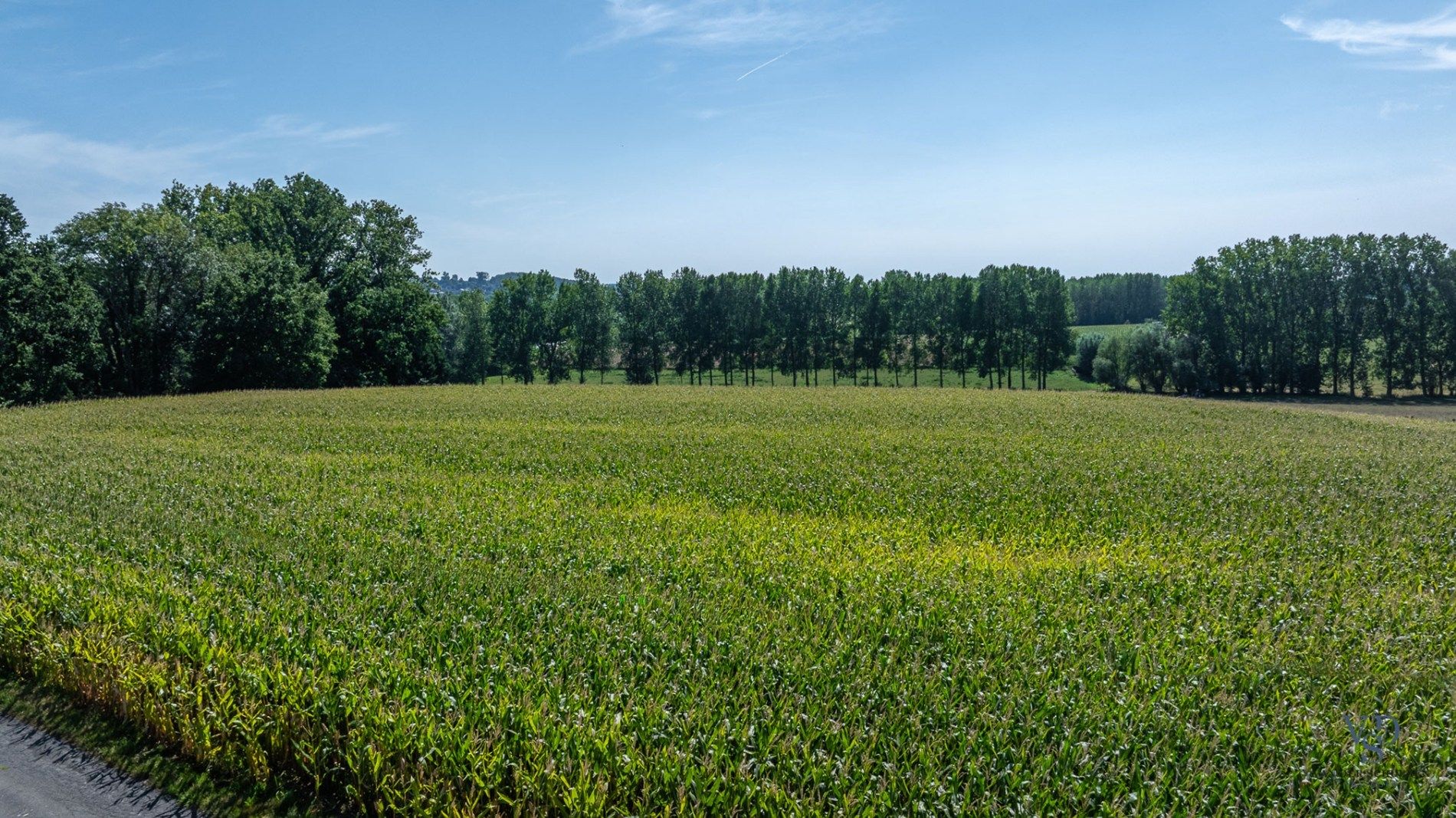 Exceptioneel gelegen bouw- en landbouwgrond te Michelbeke. foto 6