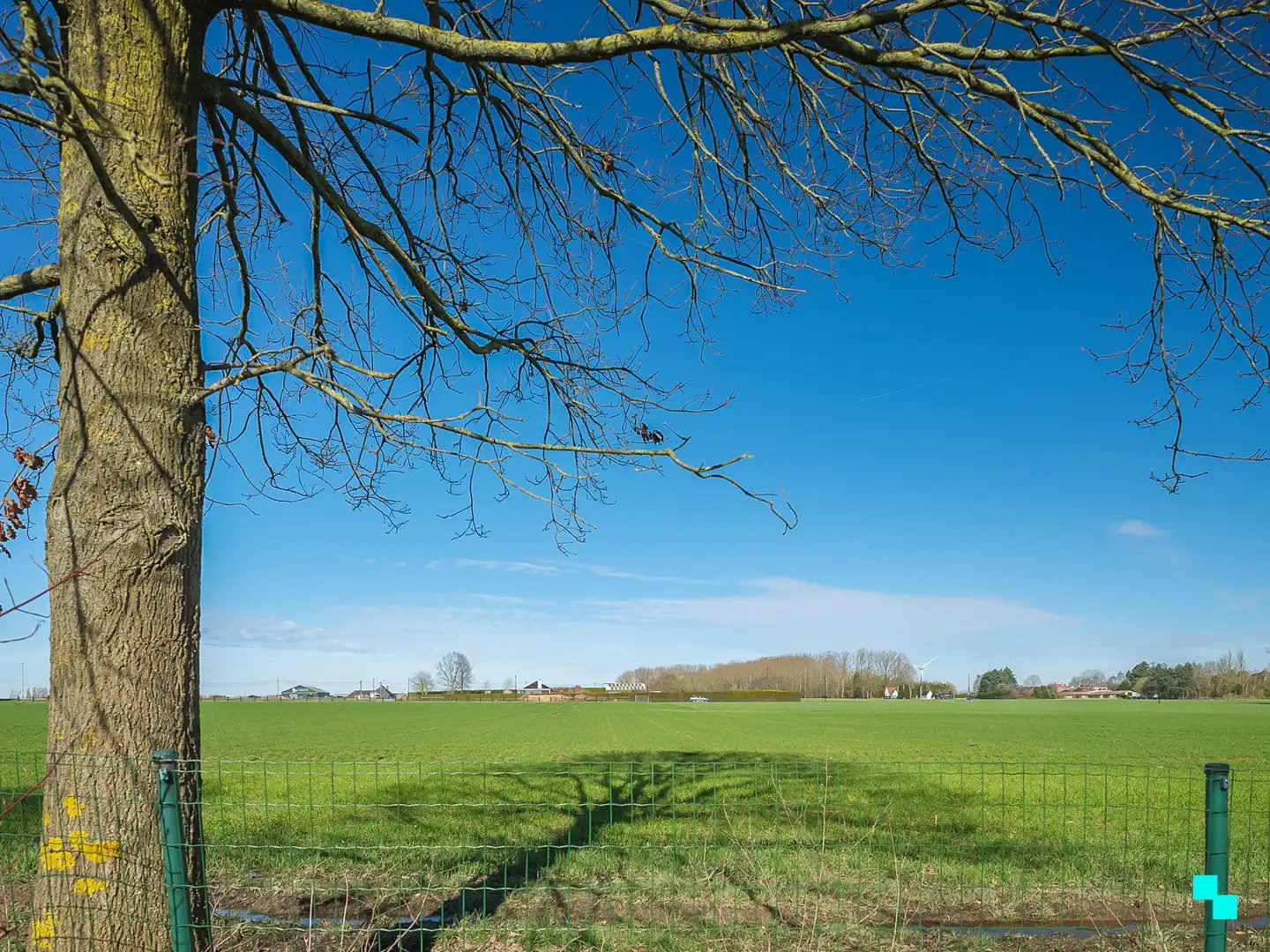 Charmante bungalow in het groene Oosterzele foto 35