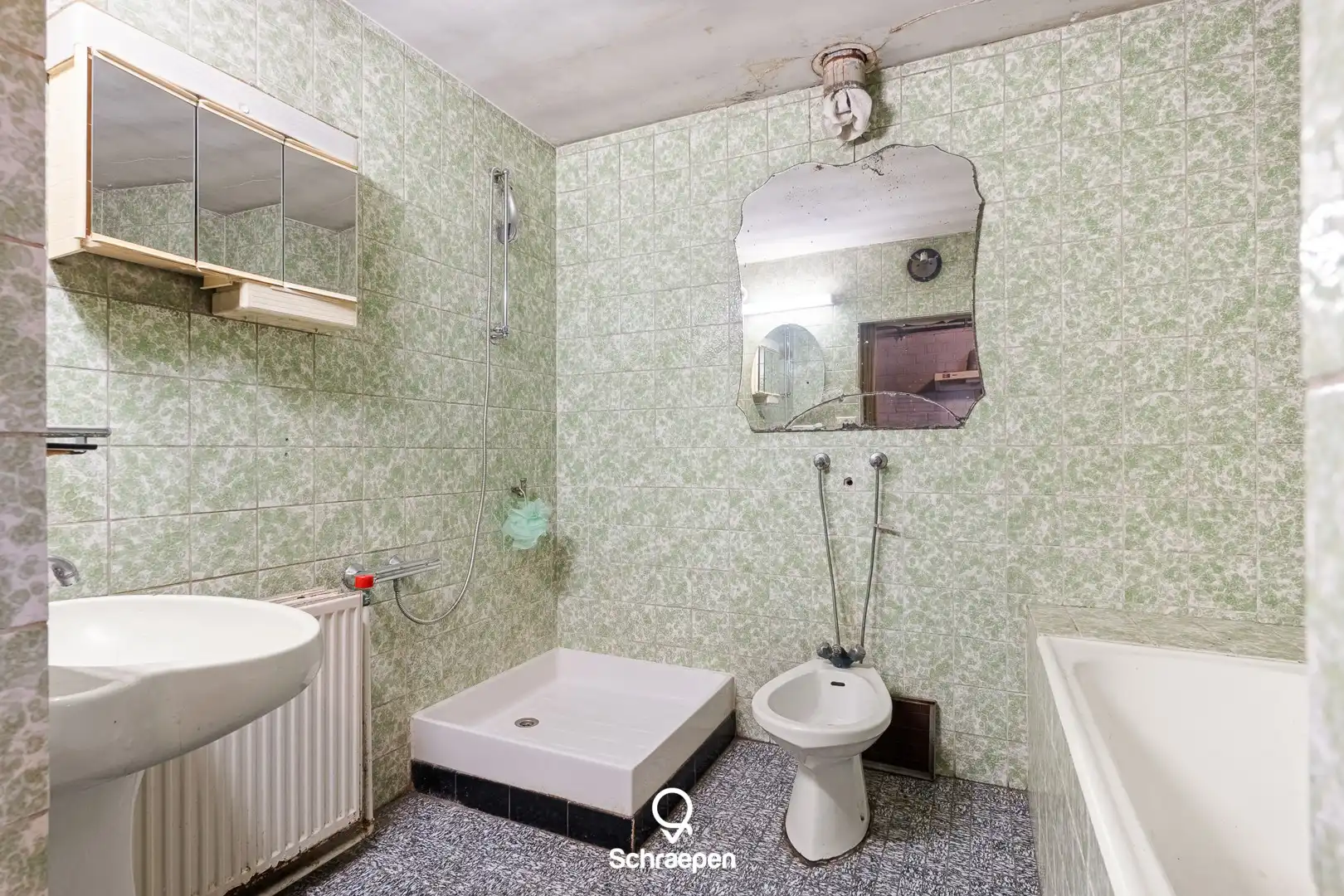 Te renoveren gezinswoning (281 m²) met 3 slpks op een perceel van circa 12,5 are te Zonhoven! foto 11