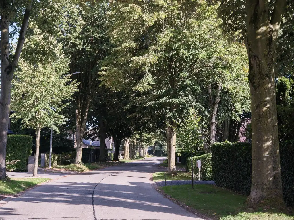 Knap gerenoveerde bungalow (EPC B) op een zuidgericht perceel in het gegeerde Baarle-Drongen foto 24