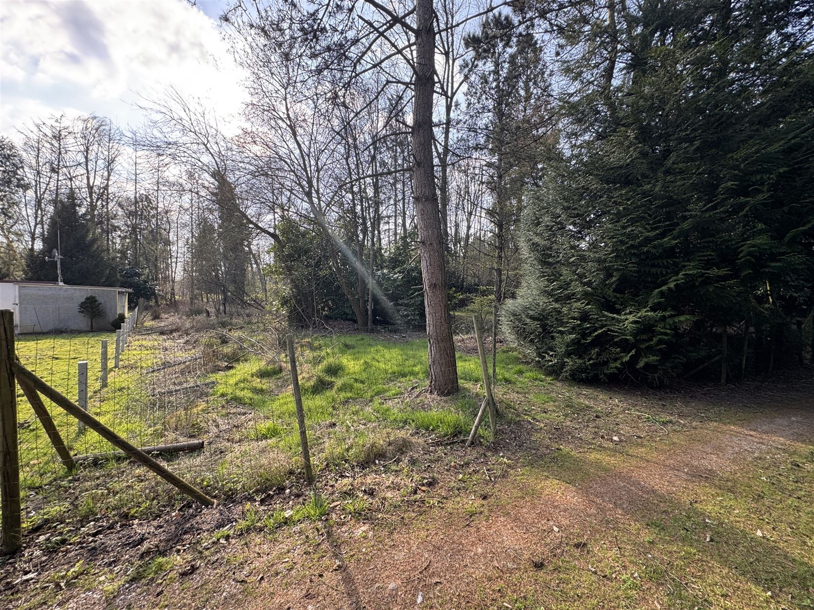 Te koop: Rustig gelegen recreactiegrond van 1.000 m² voor recreatie foto {{pictureIndex}}