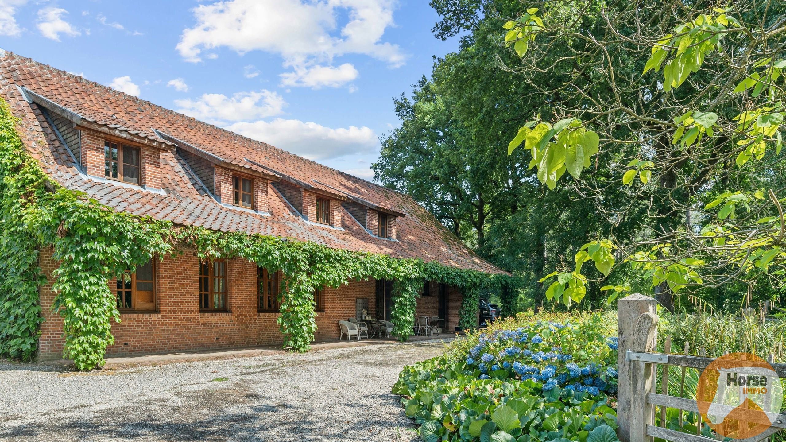 TESSENDERLO - Uniek gelegen hoeve met schuren op 3ha76 foto 2
