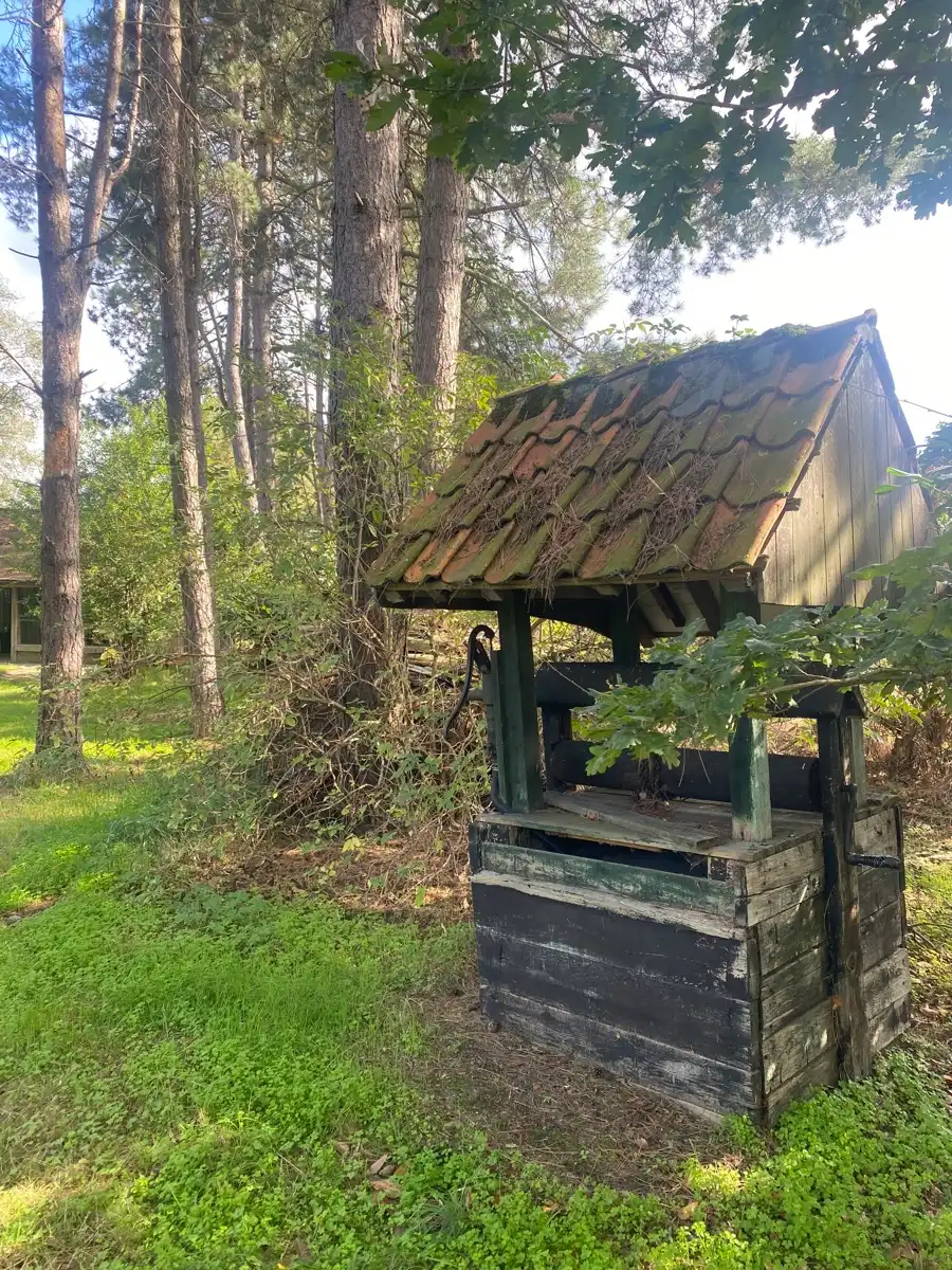 Uniek buitenverblijf in schitterende omgeving foto 15