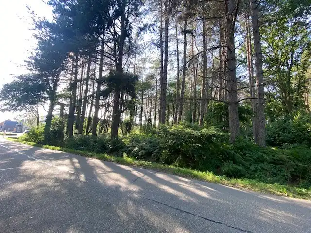 Mooi perceel bosgrond | 6.123 m². foto 3