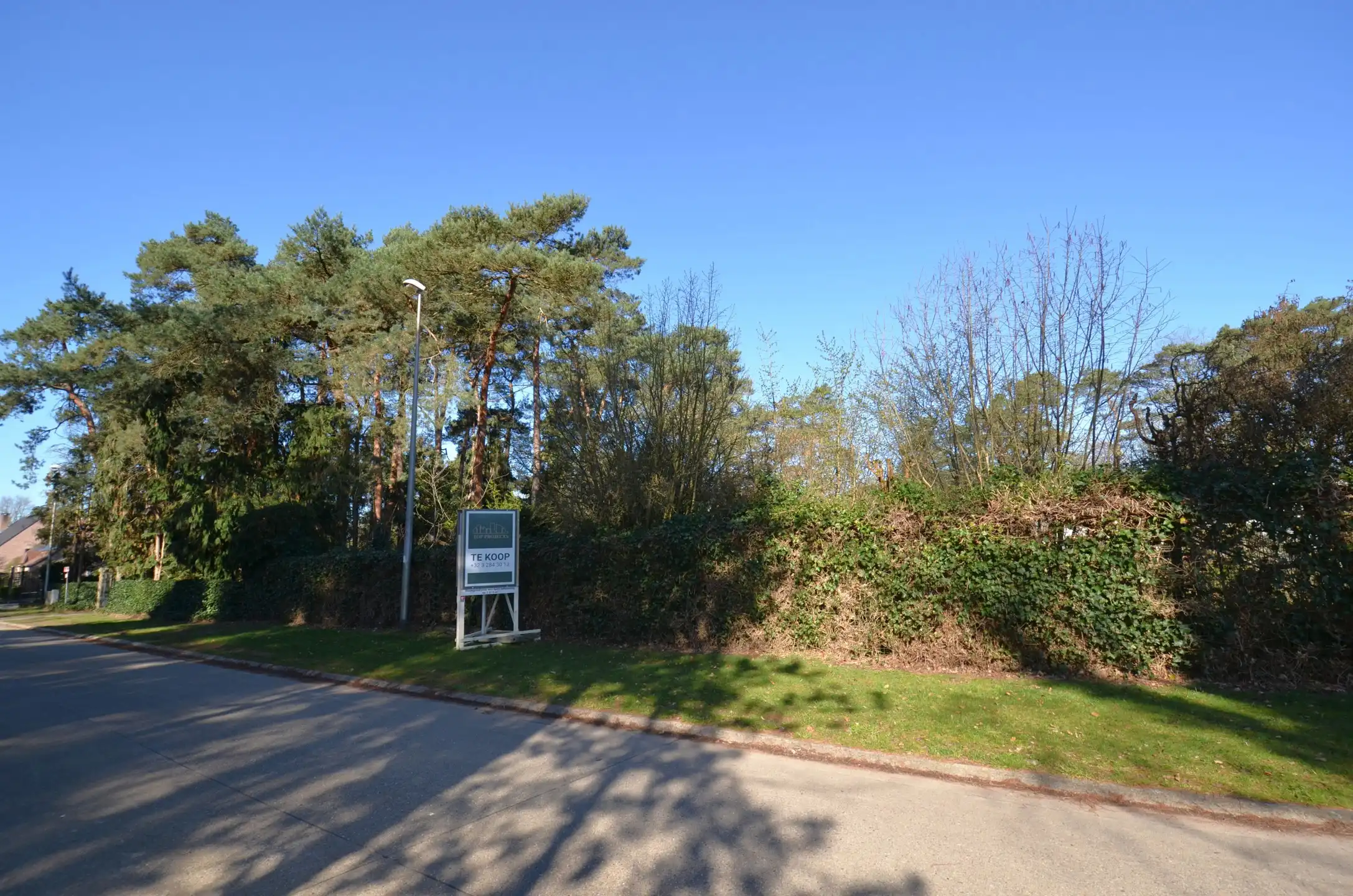 Ruime bouwgrond voor een OB foto 2