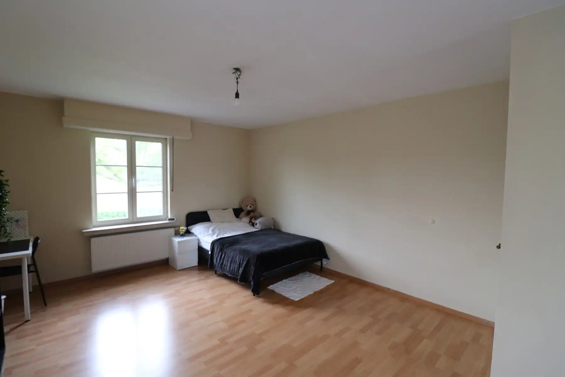 Een prachtige ruime villa met garage en tuin. foto 15