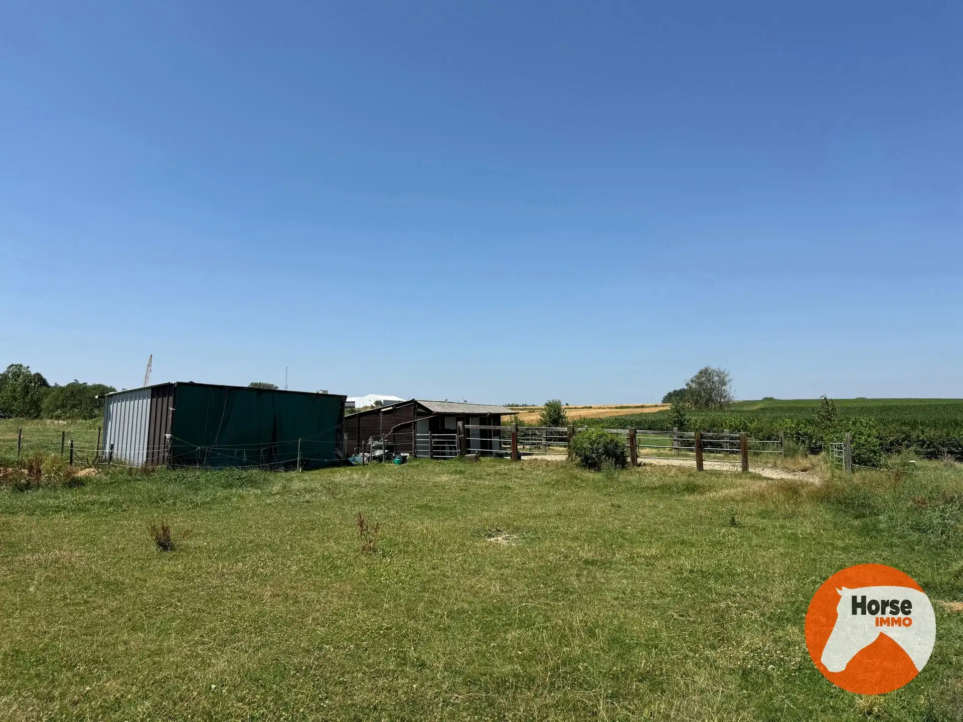 ASSE - Paardenaccommodatie op 1,07ha met 3 vergunde stallen foto 6