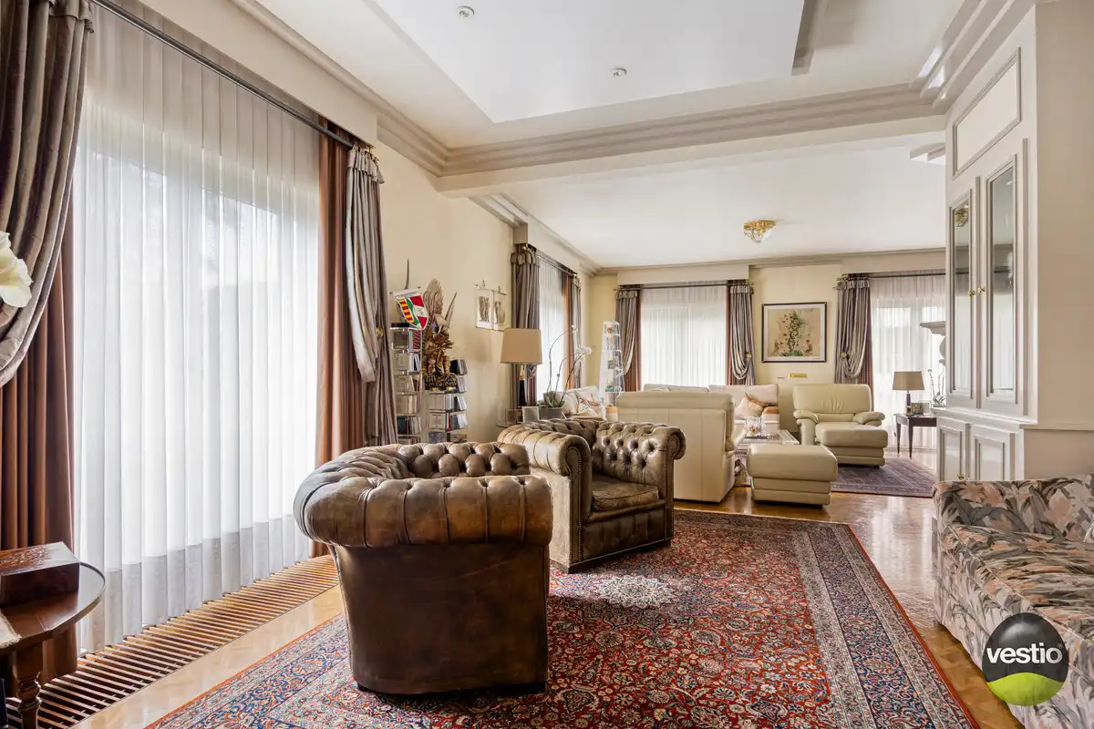 ROYALE WONING MET DOKTERSPRAKTIJK TE BILZEN HOESELT. foto 7