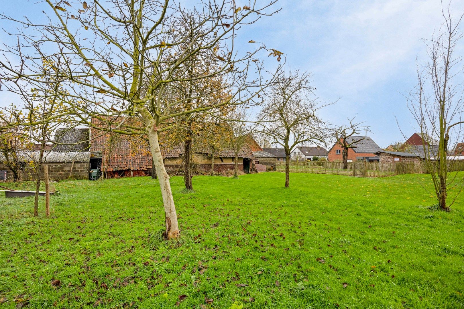 Authentieke te renoveren hoeve + nieuwbouwwoning op een perceel van 39a 26ca! foto 26