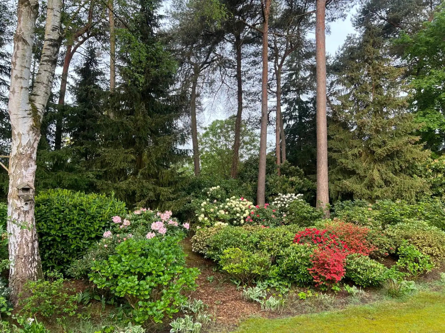  foto 25