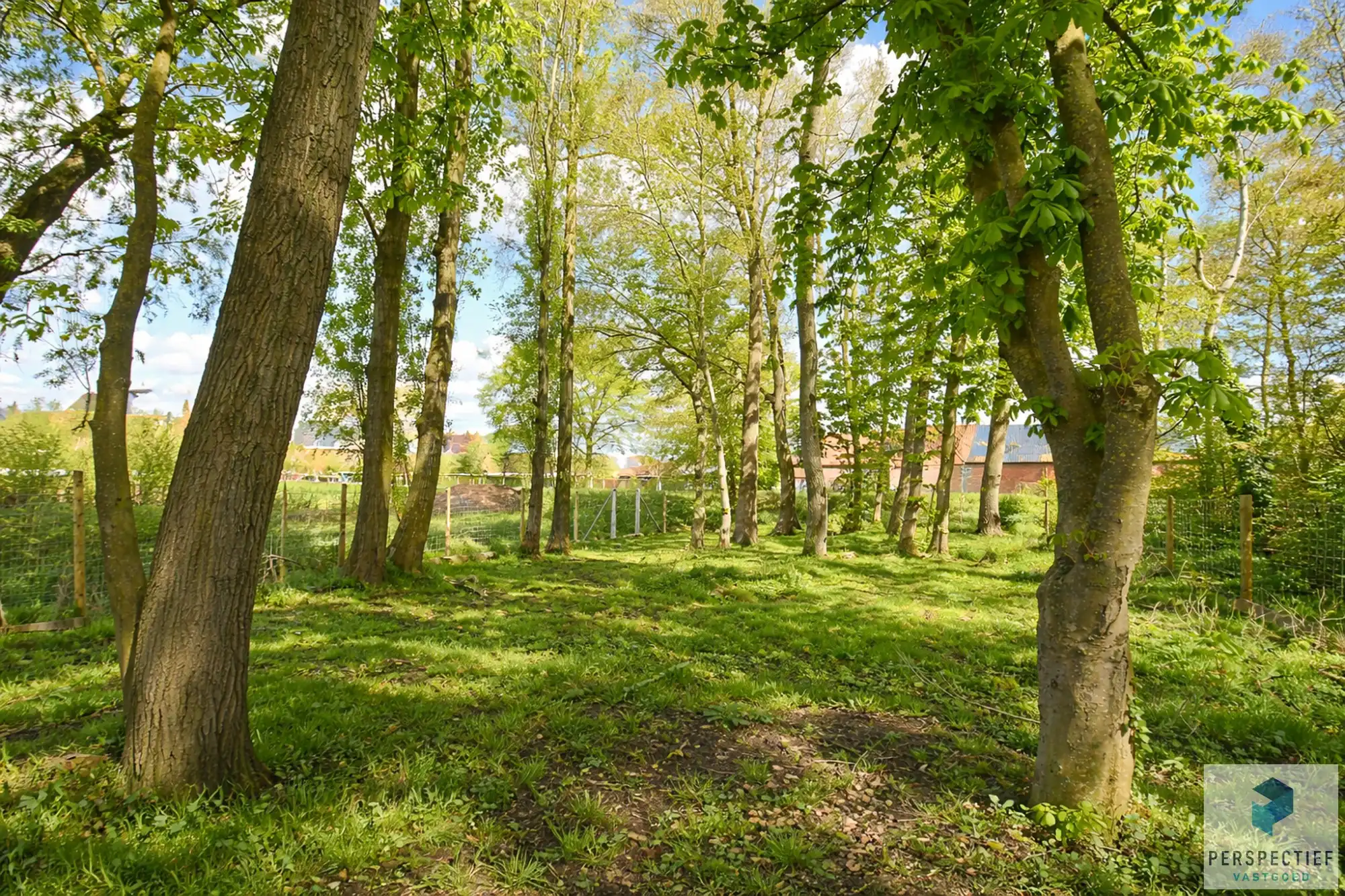 Ruime woning met tuin, kleine weide & bijgebouw gelegen in landelijke omgeving in Oedelem op  1 365 m² foto 9