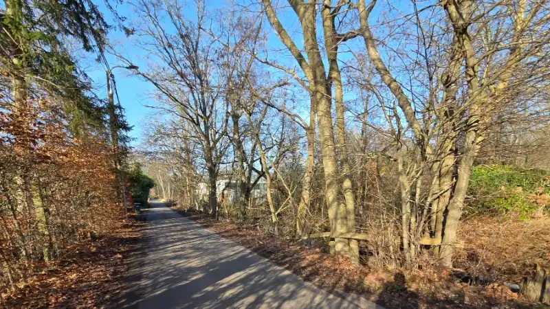 Bouwgrond van 12 are met perceelsbreedte van 24 meter foto 5