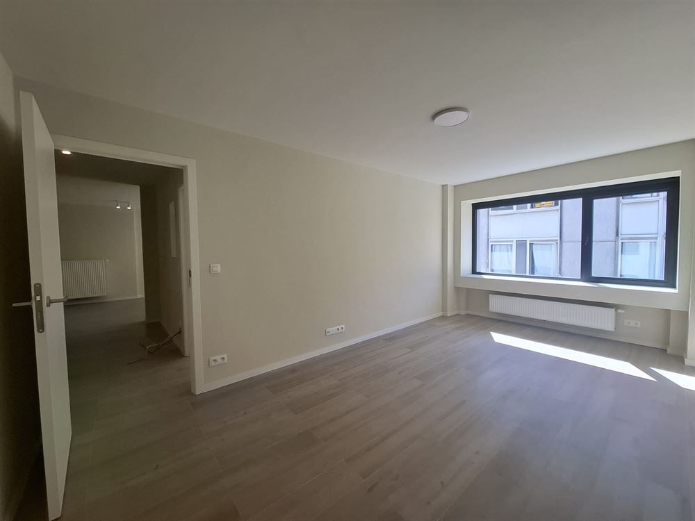 Gerenoveerd appartement | Antwerpen-Centrum foto 8
