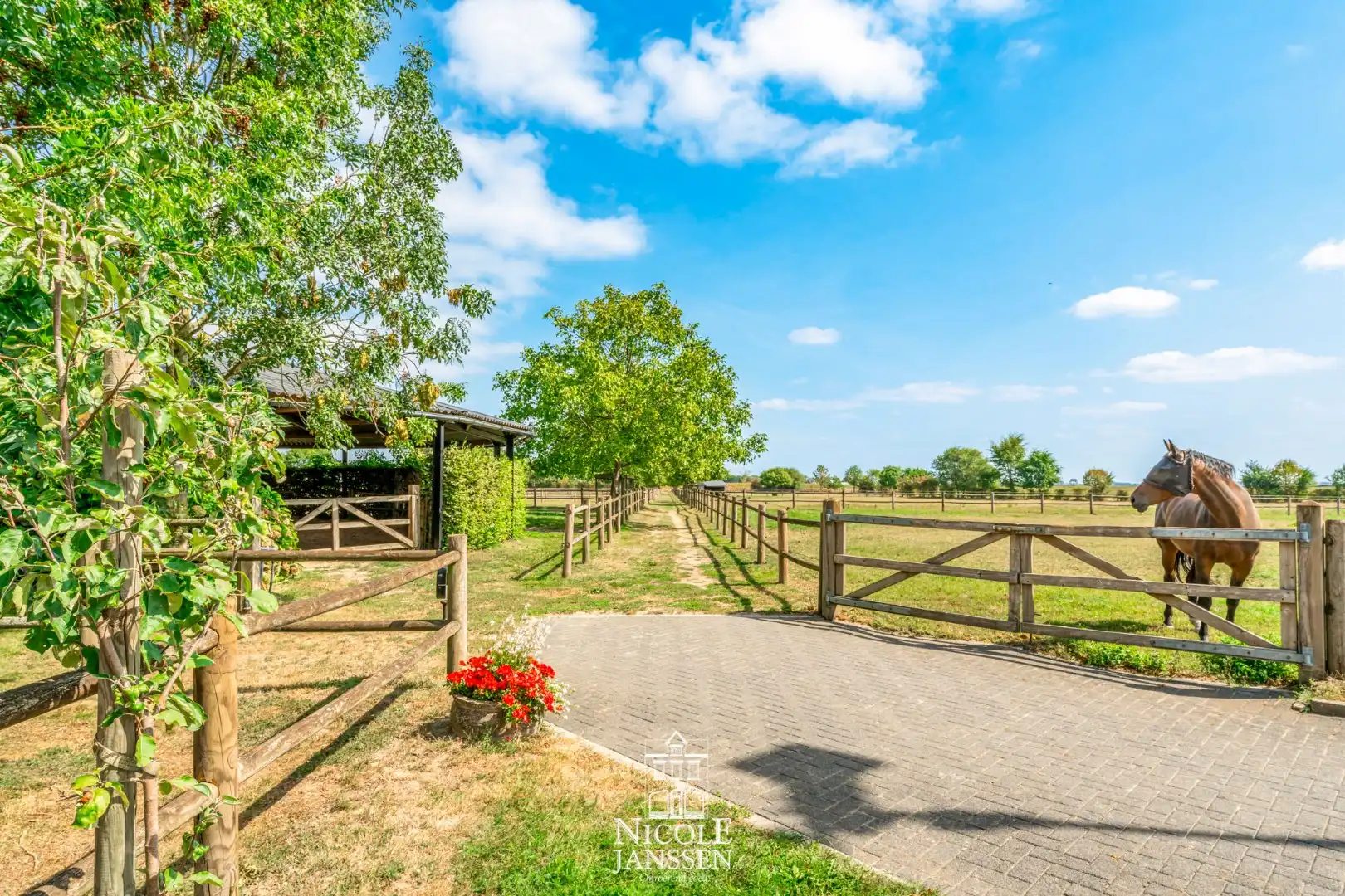 Riante woning met paardenstallen foto 29