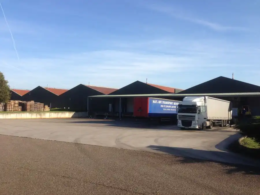 Delften 23, 2390 Malle foto 3